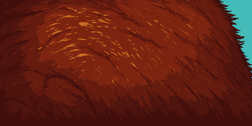 Grizzly Bear Fur Microscopic View